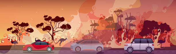 cars and animals escaping from forest fires in australia wildfire bushfire burning trees natural disaster evacuation concept intense orange flames horizontal cars and animals escaping from forest fires in australia wildfire bushfire burning trees natural disaster evacuation concept intense orange flames horizontal vector illustration Tree Kangaroo stock illustrations
