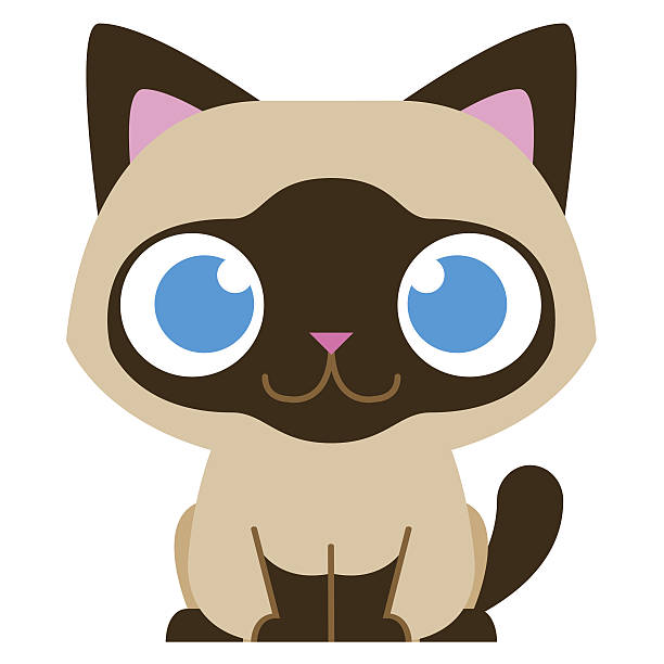 Best Siamese Cat Illustrations, Royalty-Free Vector Graphics & Clip Art