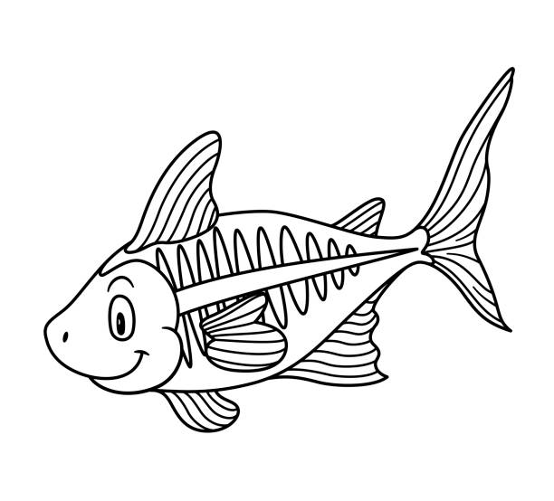 X Ray Fish Coloring Page Cartoons Illustrations, Royalty-Free Vector