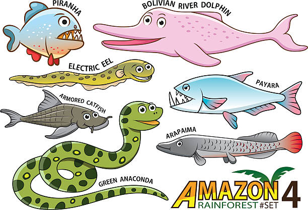 말풍선이 있는 동물과 조류가 아마존 영역 - 전기뱀장어 stock illustrations