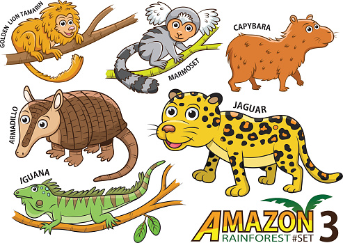 cartoon Animals and birds in the Amazon