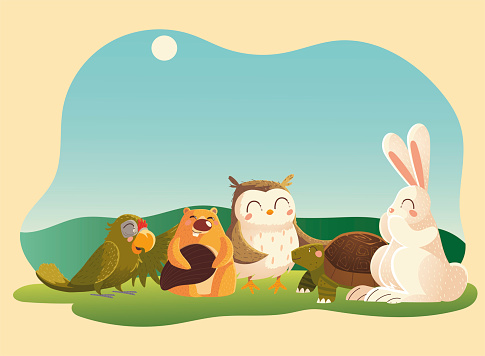 cartoon animals beaver rabbit owl parrot and turtle in the grass
