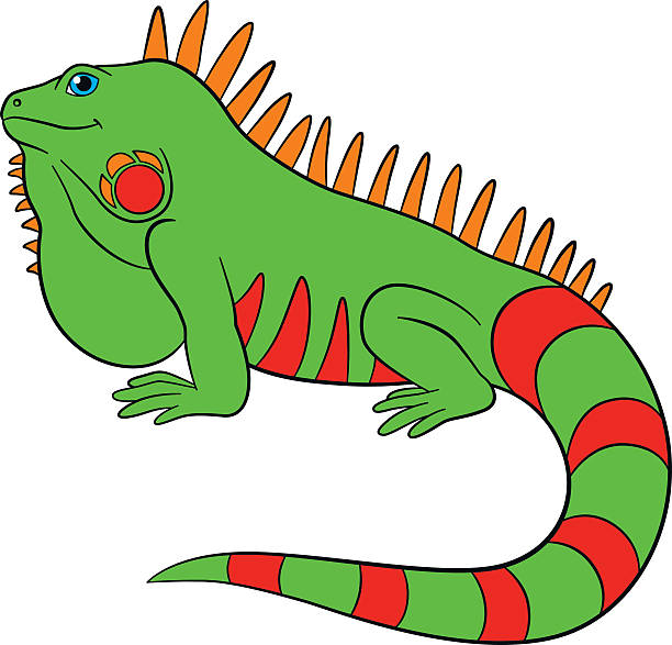Royalty Free Iguana Clip Art, Vector Images & Illustrations - iStock