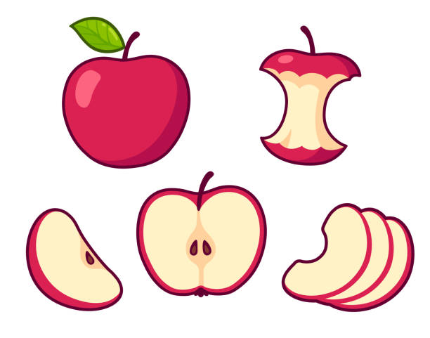Cartoon apple set Red apple cartoon set. Whole fruit and core, cross section of cut apple, slices. Isolated vector clip art illustration. eaten stock illustrations