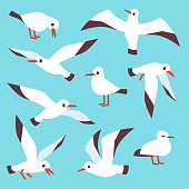 Cartoon atlantic seabird, seagulls flying in blue sky vector set. Sea gull drawing flight in various detail illustration