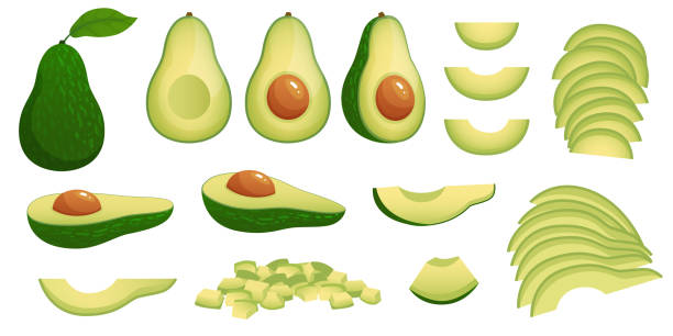 stockillustraties, clipart, cartoons en iconen met cartoon avocado. rijpe avocado's vruchten, gezonde voedzame natuurlijke voeding en avocado plakjes vector illustratie set - avocado