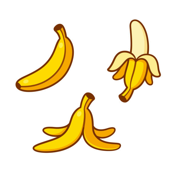 Cartoon bananas illustration set Set of cartoon banana drawings: single, peeled and banana peel on the ground. Vector clip art illustration collection. banana clipart stock illustrations