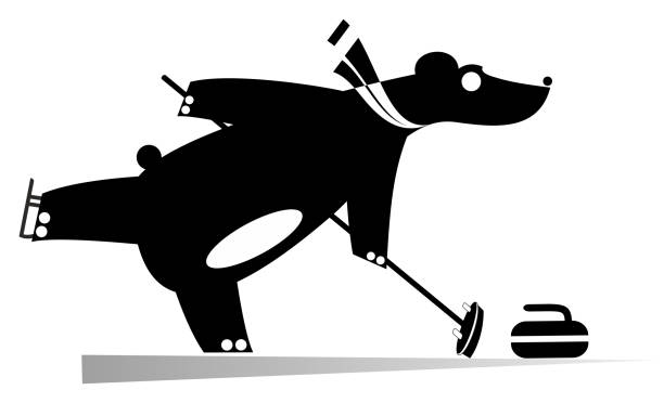 stockillustraties, clipart, cartoons en iconen met cartoon bear speelt curling zwart op witte illustratie - curling