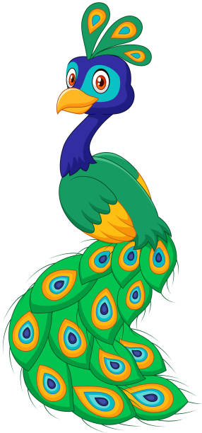 stockillustraties, clipart, cartoons en iconen met cartoon beautiful peacock isolated on white background - peacock back
