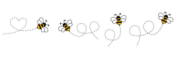 Cartoon bee icon set. Cartoon bee icon set. Bee flying on a dotted route isolated on the white background. Vector illustration. bee stock illustrations