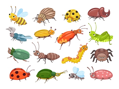 Cartoon beetle. Funny smiling bugs, children beetles. Happy insects, ladybug and caterpillar, larva. Wild forest world vector illustration