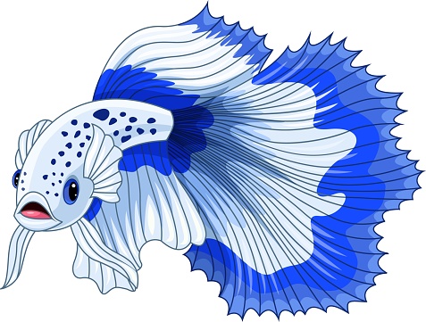 Cartoon blue and white siamese fighting fish