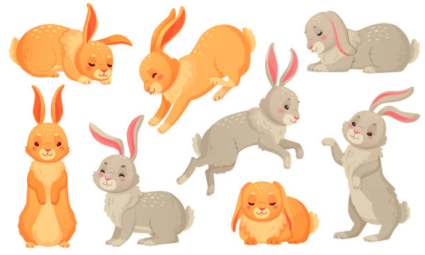 Cartoon bunny. Rabbits pets, easter bunnies and plush little spring rabbit pet isolated vector illustration set Cartoon bunny. Rabbits pets, easter bunnies and plush little spring rabbit pet. Easter mascot, fluffy hare character. Isolated vector illustration icons set rabbit stock illustrations