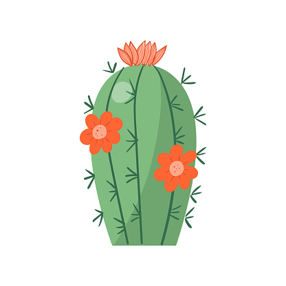 Cartoon cactus. Vector bright cacti. Colored, bright cacti flowers isolated on white background