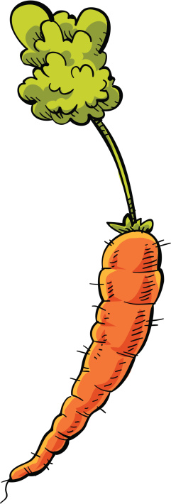 Cartoon Carrot