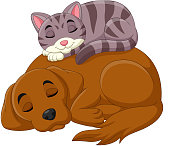 illustration of Cartoon cat and dog sleeping
