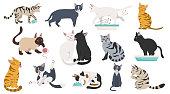 Cartoon cat characters collection. Different cat`s poses, yoga and emotions set. Flat color simple style design. Vector illustration