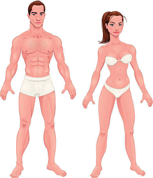 мужчина и женщина. - cartoon of the nude couple posing stock illustrations.