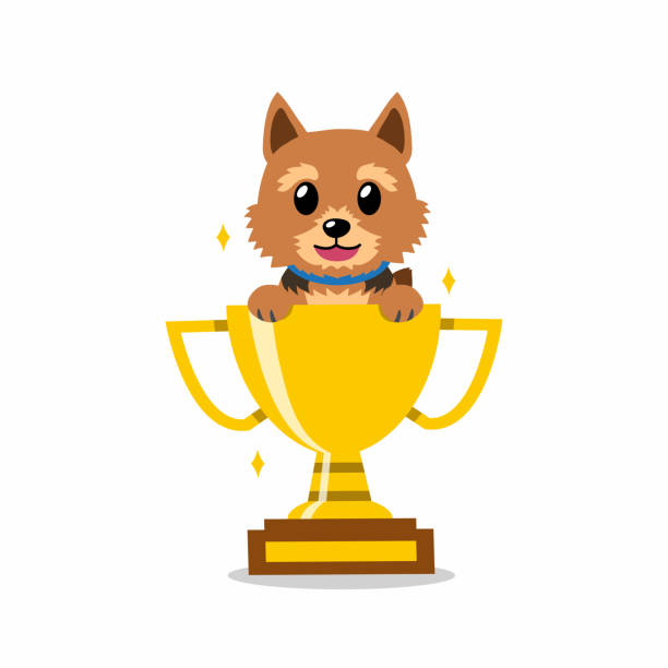 ilustrações de stock, clip art, desenhos animados e ícones de cartoon character norwich terrier dog with gold trophy cup award - norwich