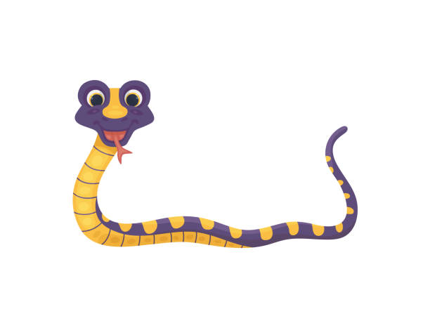 Cartoon character of funny comic snake, flat vector illustration isolated. Cartoon character of funny comic snake, flat vector illustration isolated on white background. Smiling snake reptile animal with patterned yellow and purple skin. snake with its tongue out stock illustrations