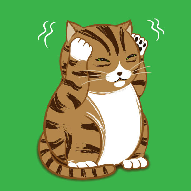 Stressed Cat Illustrations, Royalty-Free Vector Graphics & Clip Art