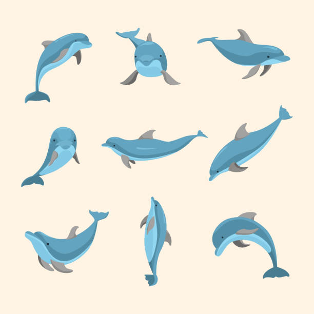 Cartoon Characters Funny Dolphin Set. Vector Cartoon Characters Funny Dolphin Set Ocean Mammal Different Poses Concept Element Flat Design Style. Vector illustration of Dolphins stylized underwater nature set of icons stock illustrations