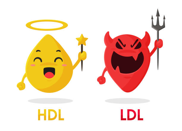ilustrações, clipart, desenhos animados e ícones de colesterol dos desenhos animados. os componentes de hdl e ldl são gorduras boas e gorduras ruins do alimento. - colesterol