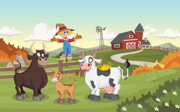 ilustrações, clipart, desenhos animados e ícones de desenhos animados vaca, bezerro e touro. - gado brasil
