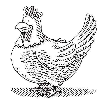 Cartoon Cute Chicken Drawing
