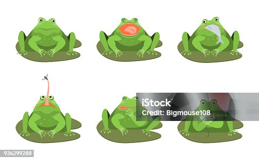 cartoon-cute-green-frogs-characters-icon-set-vector-vector-id936299288?b=1&k=6&m=936299288&s=170667a&h=OHxl4RtuzofAxQs_9BlQzGn4J7wCR77F5ivYrYtu_pI=