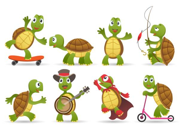 Cartoon cute tortoise set Cartoon cute tortoise set. Smiling characters of nature, green animals of wildlife, vector illustration caricature of happy funny tortoises in comic poses isolated on white background turtle stock illustrations