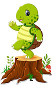 Cartoon turtle posing on tree stump