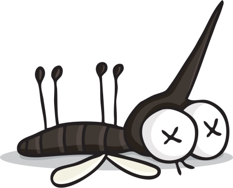 cartoon / dead mosquito