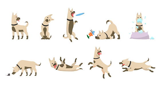Cartoon dog set. Dogs tricks icons and action training digging dirt eating pet food jumping wiggle sleeping running and barking brown happy cute animal poses vector isolated symbol illustration