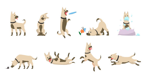 卡通狗設置。狗的花招圖示和動作訓練挖泥土吃寵物食物跳躍擺動睡覺運行和吠棕色快樂可愛的動物姿勢向量孤立符號插圖 - dog 幅插畫檔、美工圖案、卡通及圖標