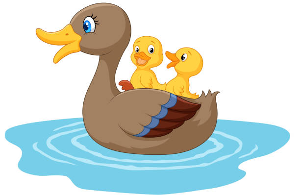 Cartoon ducks on the pond Vector illustration of Cartoon ducks on the pond duck pond stock illustrations