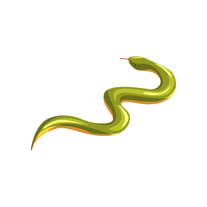Cartoon eastern green mamba. Dangerous tropical snake with tongue out. Exotic domestic animal. Venomous serpent. Poisonous predator. Wildlife. Flat vector design