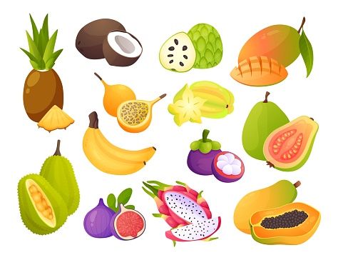 Cartoon exotic fruits. Juicy carambola and maracuya. Sweet passionfruit, mangosteen or jackfruit. Natural cherimoya, fig and pitaya. Pineapple, mango and guava. Vector vitamin food set