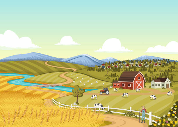 ilustrações, clipart, desenhos animados e ícones de fazendeiro dos desenhos animados na frente da exploração agrícola colorida com celeiro - gado brasil