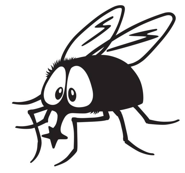Housefly Fly Cartoon Insect Illustrations, Royalty-Free Vector Graphics ...