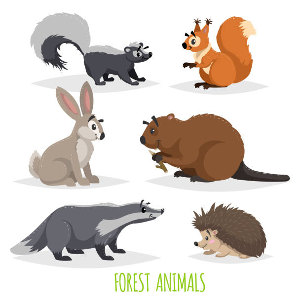 Cartoon forest animals set. Skunk, hedgehog, hare, squirrel, badger and beaver. Funny comic creature collection. Vector educational illustrations. Cartoon forest animals set. Skunk, hedgehog, hare, squirrel, badger and beaver. Funny comic creature collection. Vector educational illustrations. EPS10 + JPEG preview. hedgehog stock illustrations