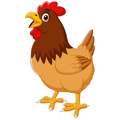 Cartoon funny chicken hen crowing