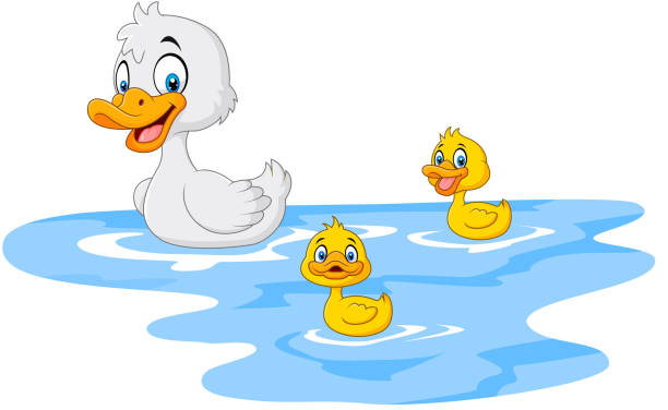 Cartoon funny mother duck with baby duck floats on water Illustration of Cartoon funny mother duck with baby duck floats on water duck pond stock illustrations