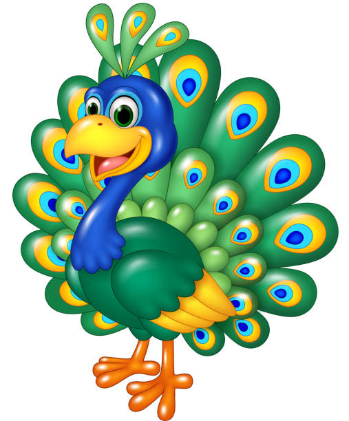 stockillustraties, clipart, cartoons en iconen met cartoon funny peacock isolated on white background - peacock back