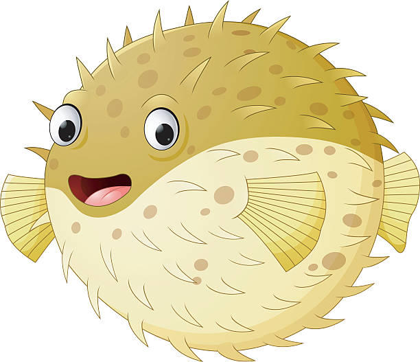 Royalty Free Puffer Fish Clip Art, Vector Images & Illustrations - iStock