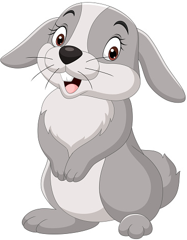 Cartoon funny rabbit isolated on white background