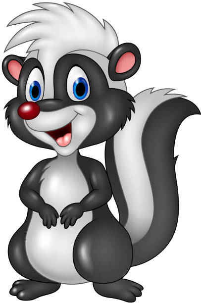 Royalty Free Skunk Clip Art, Vector Images & Illustrations ...
