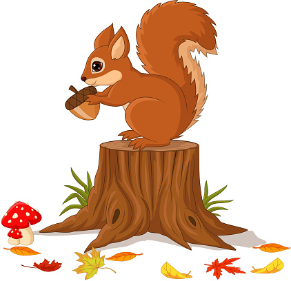 Cartoon funny squirrel holding pine cone on tree stump