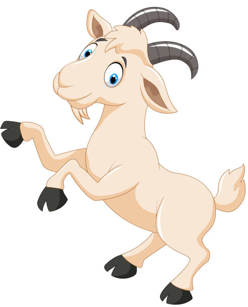 Animated Goat Illustrations, Royalty-Free Vector Graphics & Clip Art ...