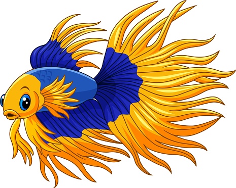 Cartoon gold and blue siamese fighting fish
